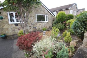 Front Garden- click for photo gallery